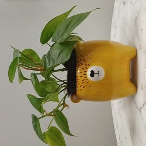 Bear ceramic decorative flower pot whimsical planter *does not include plant*
